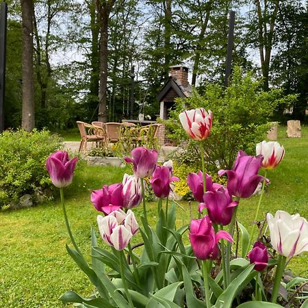 La Villa Emilie Durbuy Zewnętrze zdjęcie