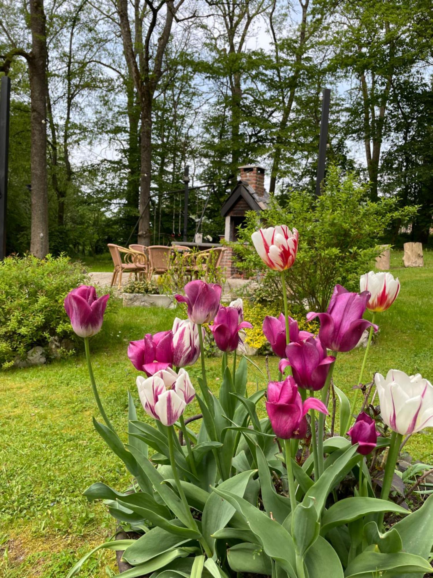 La Villa Emilie Durbuy Zewnętrze zdjęcie